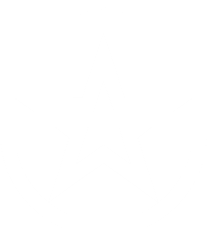 VTEM Logo